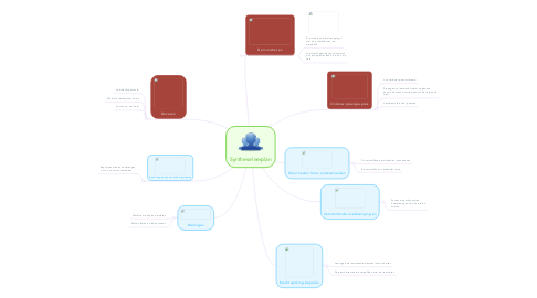 Mind Map: Synthese leerplan