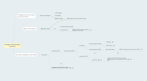 Mind Map: Cartilage cells phenotypic mosaicism