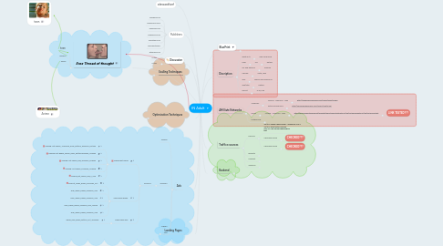 Mind Map: IN Adult