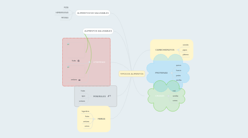 Mind Map: TIPOS DE ALIMENTOS