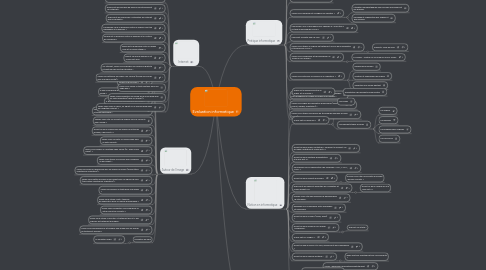 Mind Map: Evaluation informatique