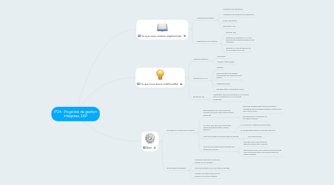 Mind Map: IF24 : Progiciels de gestion intégrées, SAP