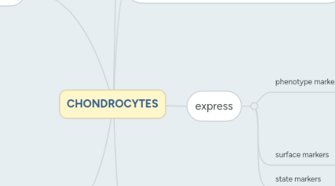 Mind Map: CHONDROCYTES