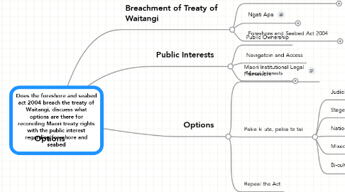 Mind Map: Does the foreshore and seabed act 2004 breach the treaty of Waitangi, discuess what options are there for reconciling Maori treaty rights with the public interest regarding foreshore and seabed
