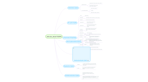 Mind Map: PLANTS