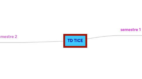 Mind Map: TD TICE