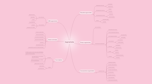 Mind Map: Segmentatie