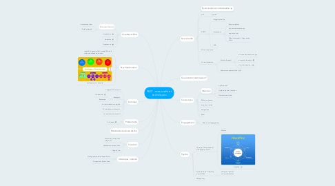 Mind Map: PRO - mes outils et techniques