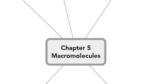 Mind Map: Chapter 5 Macromolecules
