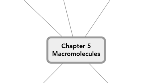 Mind Map: Chapter 5 Macromolecules