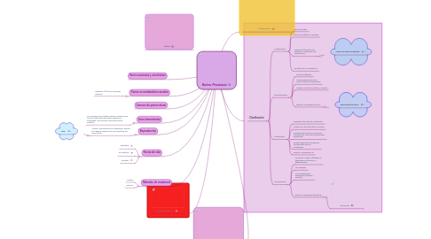 Mind Map: Reino Protozoo