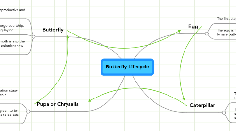 Mind Map: Butterfly Lifecycle