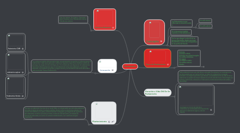 Mind Map: Rodamientos