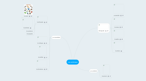 Mind Map: Les animaux