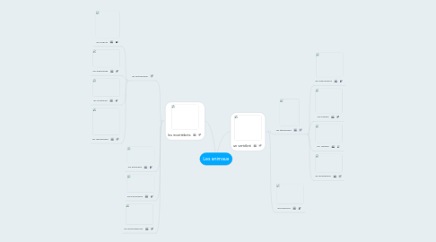 Mind Map: Les animaux