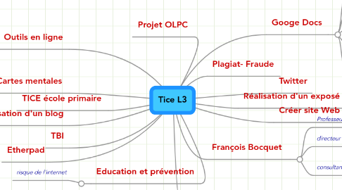 Mind Map: Tice L3