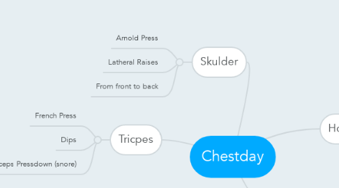 Mind Map: Chestday