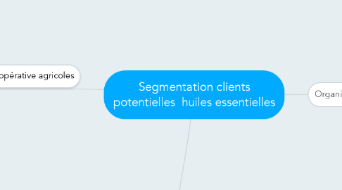 Mind Map: Segmentation clients potentielles  huiles essentielles