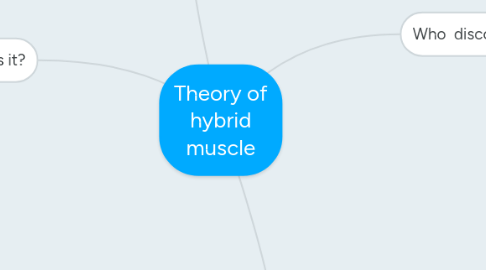 Mind Map: Theory of hybrid muscle