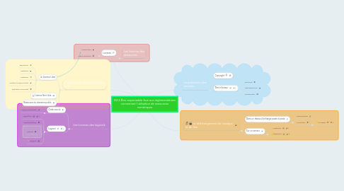 Mind Map: D2.3 Être responsable face aux réglementations concernant l'utilisation de ressources numériques