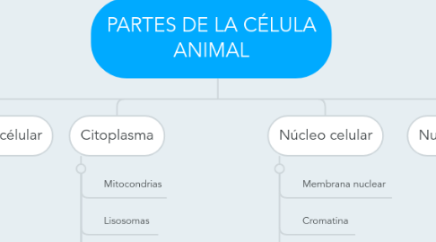 Mind Map: PARTES DE LA CÉLULA ANIMAL