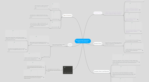 Mind Map: Structures and Forces by:    Nilaan and Chelsea