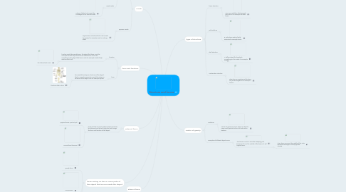 Mind Map: Structure and forces