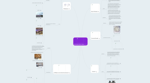 Mind Map: SISTEMA ESTRUCTURAL