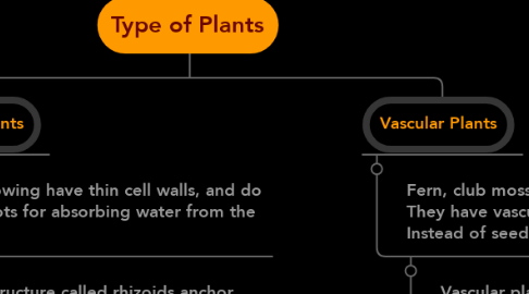 Mind Map: Type of Plants
