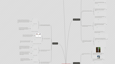 Mind Map: Structures and Forces