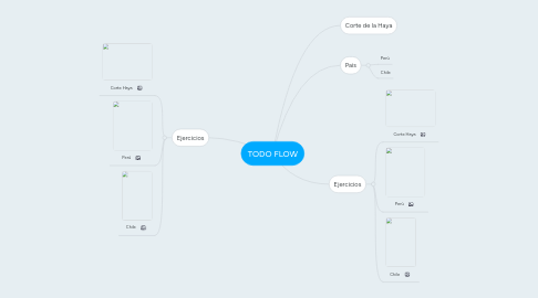 Mind Map: TODO FLOW