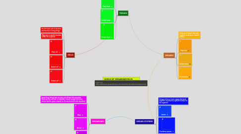 Mind Map: LEVELS OF ORGANIZATION IN MULTICELLULAR ORGANISMS