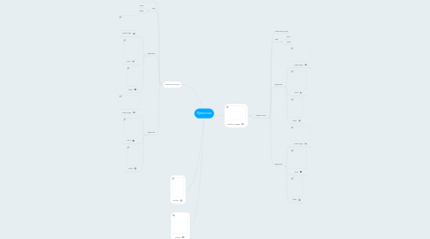 Mind Map: Ejercicios