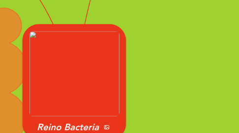 Mind Map: Reino Bacteria