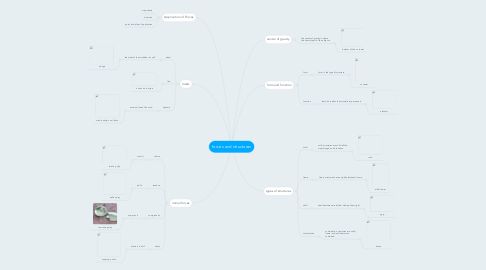 Mind Map: forces and structures