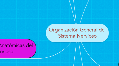 Mind Map: Organización General del Sistema Nervioso