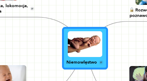 Mind Map: Niemowlęstwo