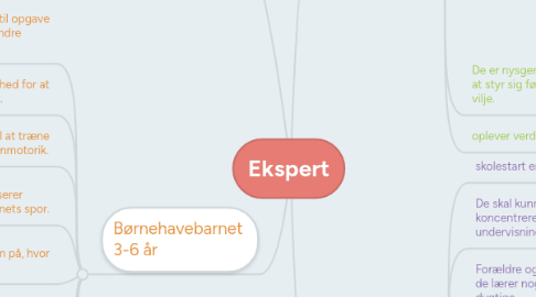 Mind Map: Ekspert