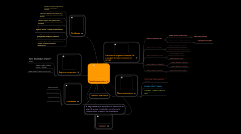 Mind Map: Posición Anatómica