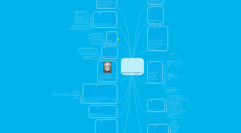 Mind Map: Anatomía y fisiologia