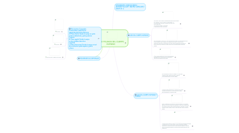 Mind Map: EJES Y PLANOS DEL CUERPO HUMANO