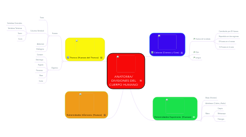 Mind Map: ANATOMIA/ DIVISIONES DEL CUERPO HUMANO