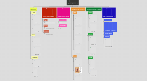 Mind Map: Cuerpo Humano