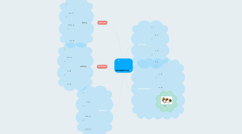 Mind Map: อาหารหลัก 5 หมู่