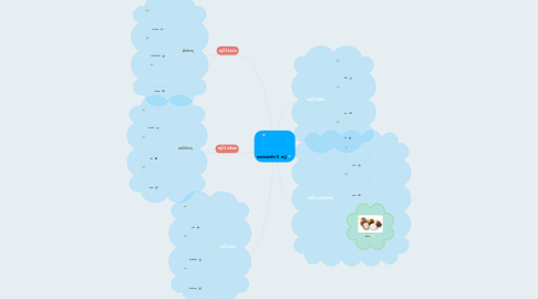 Mind Map: อาหารหลัก 5  หมู่