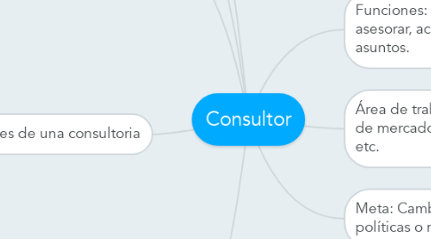 Mind Map: Consultor