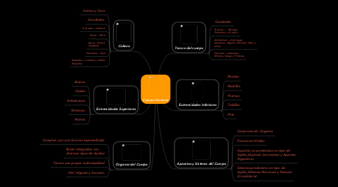 Mind Map: Cuerpo Humano