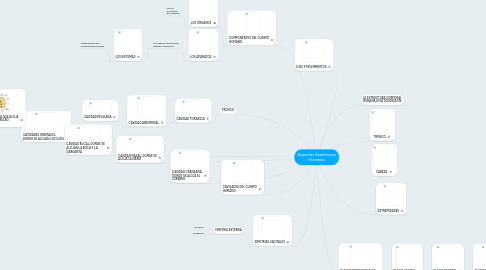 Mind Map: Aspectos Anatómicos Humanos