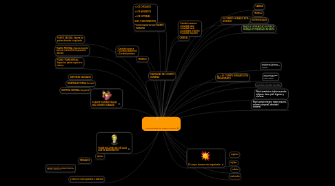 Mind Map: Componentes del cuerpo humano