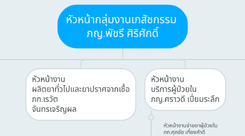 Mind Map: หัวหน้ากลุ่มงานเภสัชกรรม ภญ.พัชรี ศิริศักดิ์
